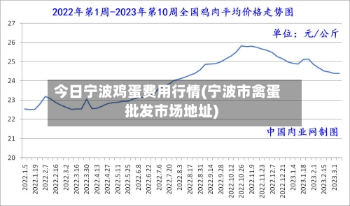 今日宁波鸡蛋费用行情(宁波市禽蛋批发市场地址)