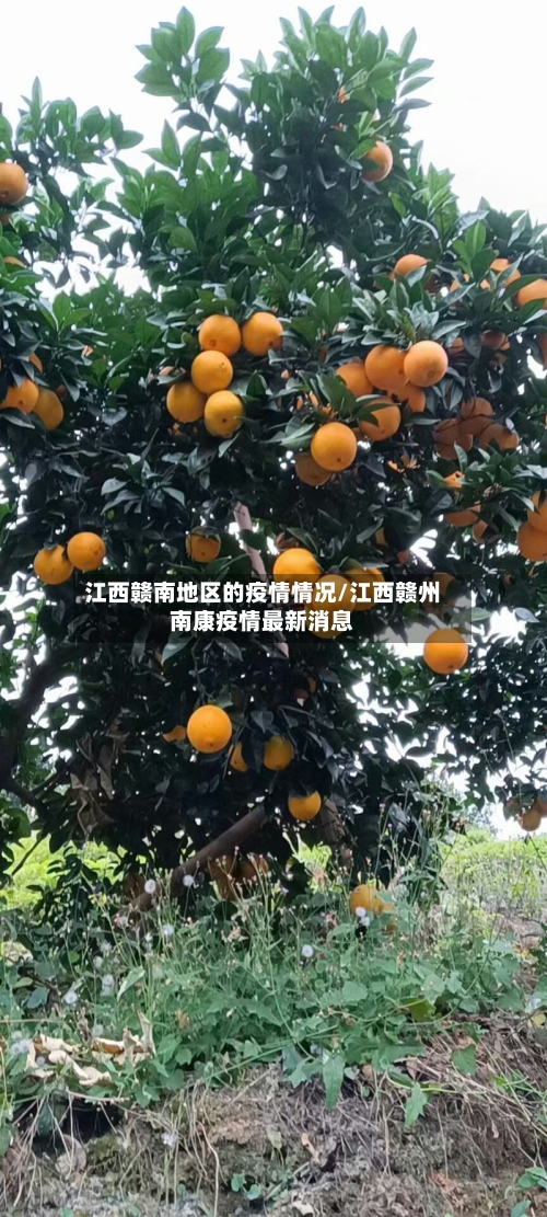 江西赣南地区的疫情情况/江西赣州南康疫情最新消息-第1张图片
