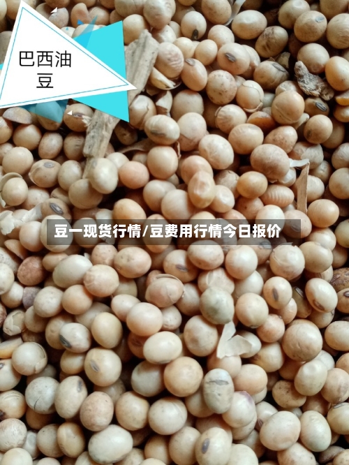豆一现货行情/豆费用行情今日报价-第2张图片