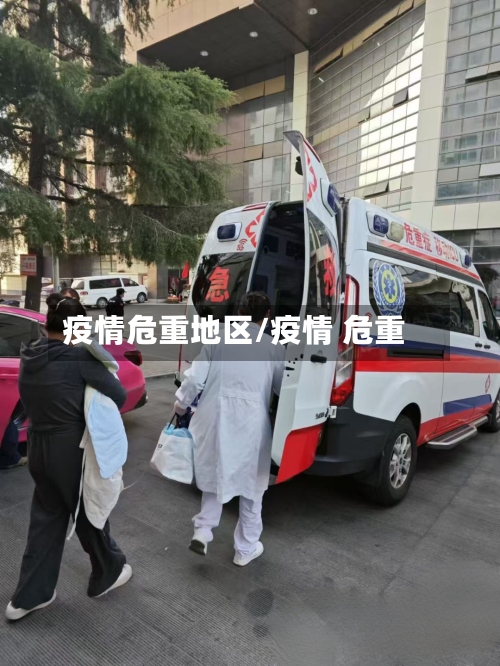 疫情危重地区/疫情 危重-第3张图片