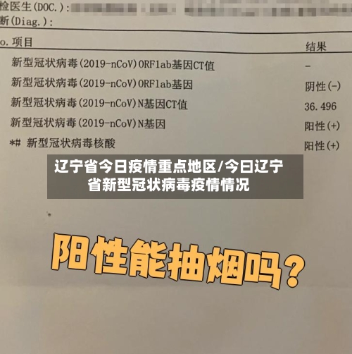 辽宁省今日疫情重点地区/今曰辽宁省新型冠状病毒疫情情况-第1张图片
