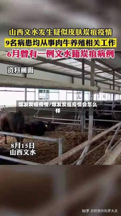 爆发炭疽疫情/爆发炭疽疫情会怎么样-第3张图片