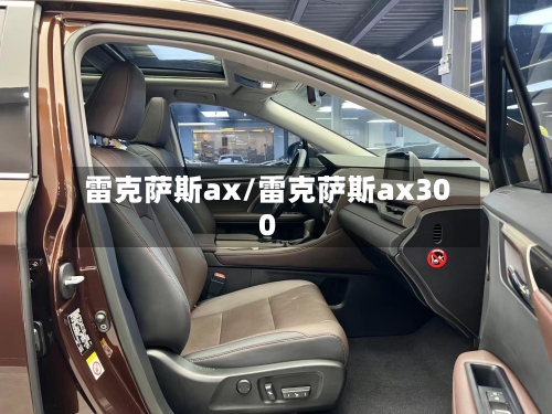 雷克萨斯ax/雷克萨斯ax300-第1张图片