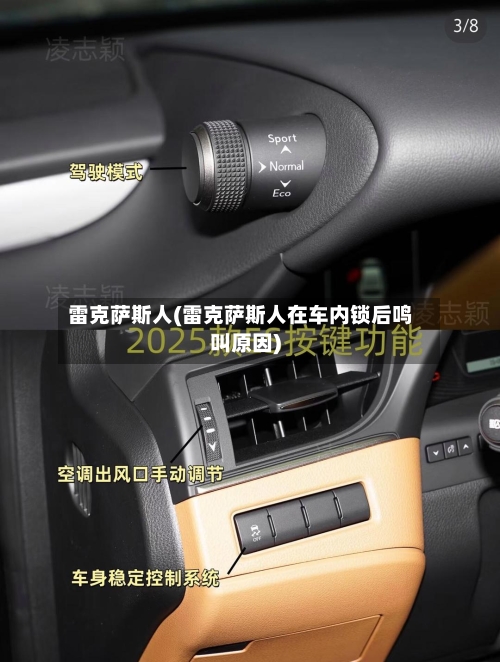 雷克萨斯人(雷克萨斯人在车内锁后鸣叫原因)-第1张图片