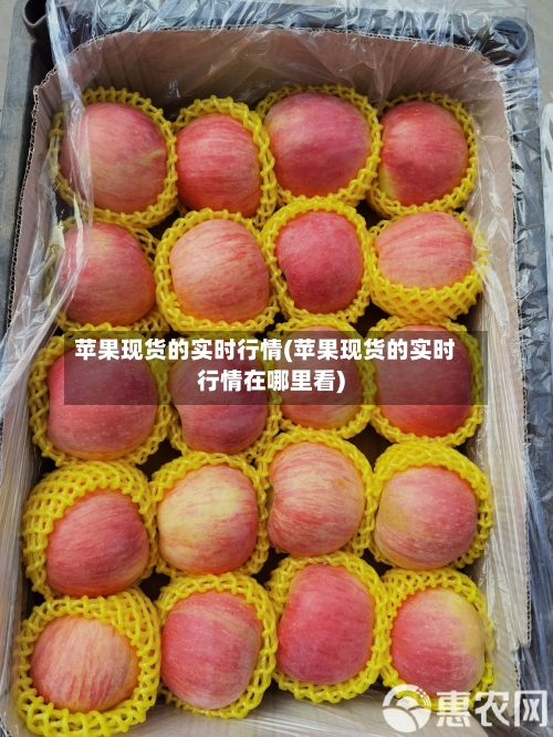 苹果现货的实时行情(苹果现货的实时行情在哪里看)