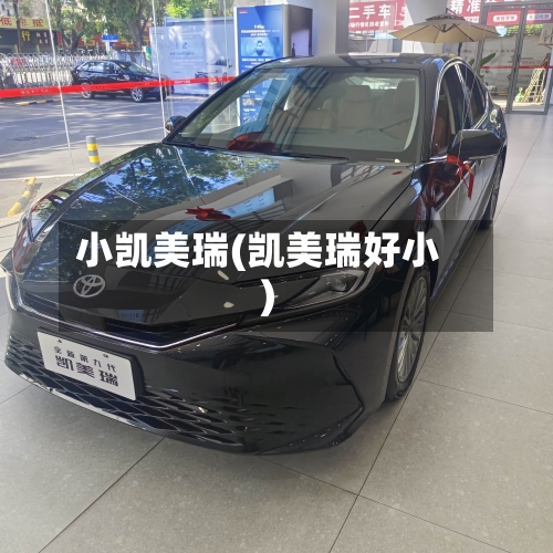 小凯美瑞(凯美瑞好小)-第3张图片