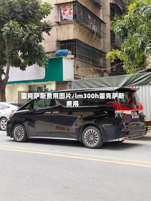 雷克萨斯费用图片/lm300h雷克萨斯费用-第1张图片