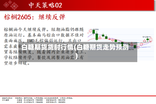 白糖期货货时行情(白糖期货走势预测)-第1张图片
