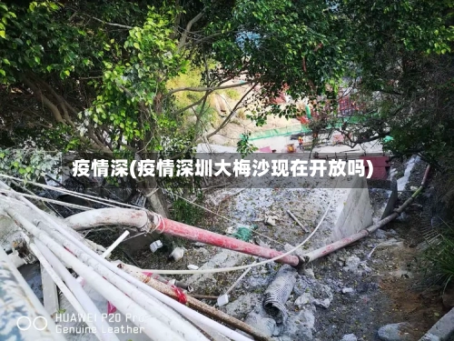 疫情深(疫情深圳大梅沙现在开放吗)-第1张图片