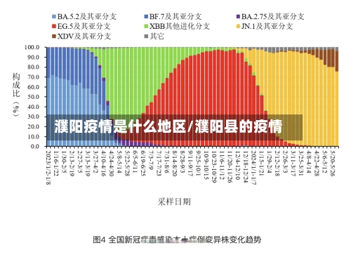濮阳疫情是什么地区/濮阳县的疫情-第3张图片