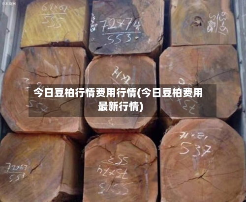 今日豆柏行情费用行情(今日豆柏费用最新行情)-第2张图片