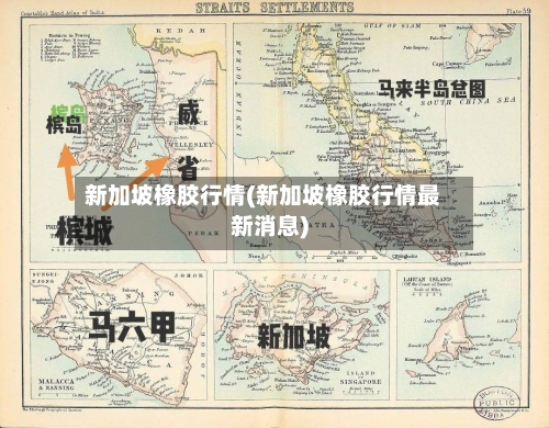 新加坡橡胶行情(新加坡橡胶行情最新消息)-第1张图片