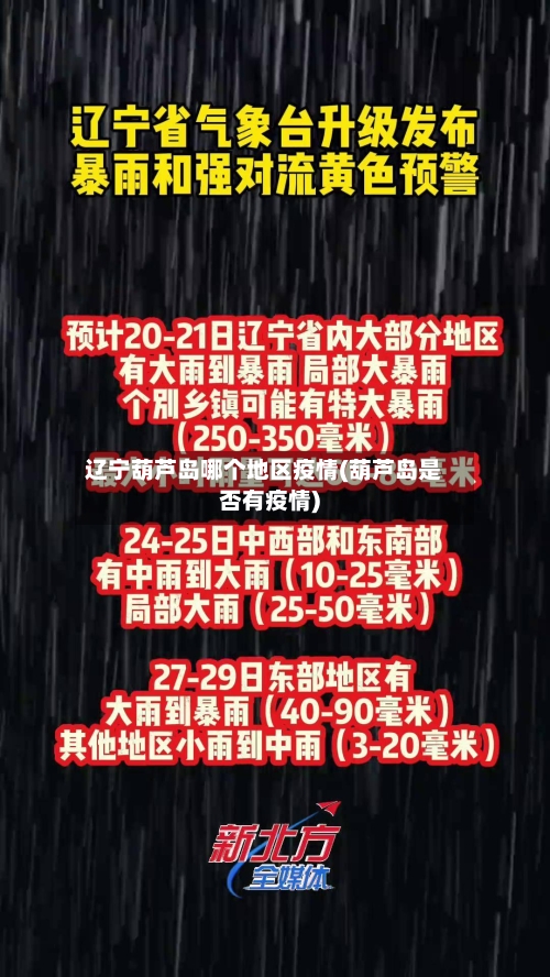 辽宁葫芦岛哪个地区疫情(葫芦岛是否有疫情)-第2张图片