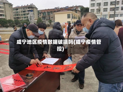 咸宁地区疫情数据破损吗(咸宁疫情管控)-第3张图片