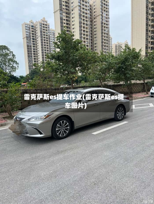 雷克萨斯es提车作业(雷克萨斯es提车图片)-第1张图片