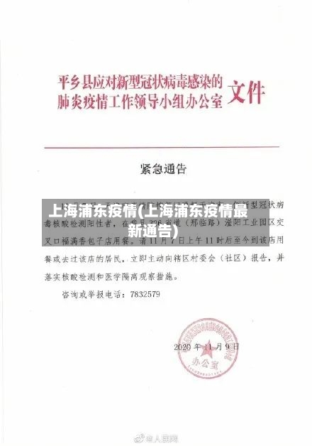 上海浦东疫情(上海浦东疫情最新通告)-第1张图片