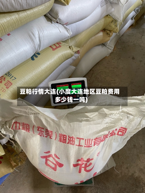 豆粕行情大连(小度大连地区豆粕费用多少钱一吨)-第1张图片