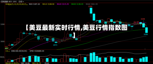 【美豆最新实时行情,美豆行情指数图】-第3张图片
