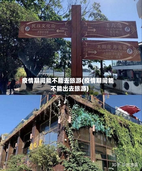 疫情期间能不能去旅游(疫情期间能不能出去旅游)-第1张图片
