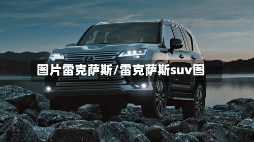 图片雷克萨斯/雷克萨斯suv图-第1张图片