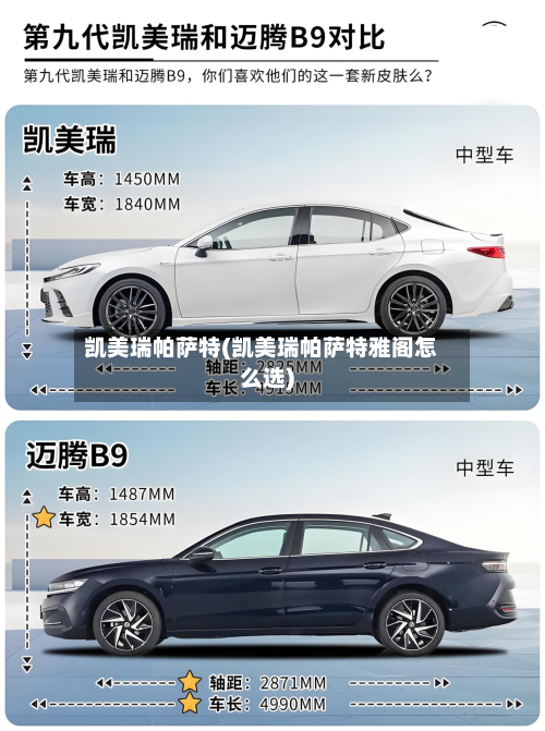 凯美瑞帕萨特(凯美瑞帕萨特雅阁怎么选)-第1张图片