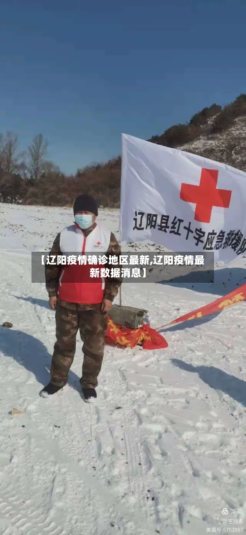 【辽阳疫情确诊地区最新,辽阳疫情最新数据消息】-第2张图片