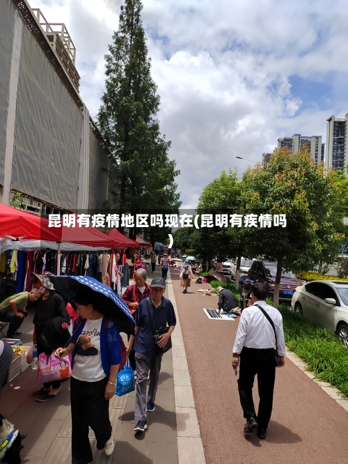 昆明有疫情地区吗现在(昆明有疾情吗)-第2张图片