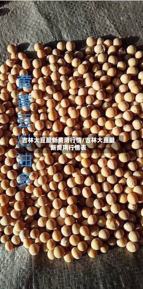 吉林大豆最新费用行情/吉林大豆最新费用行情表-第1张图片