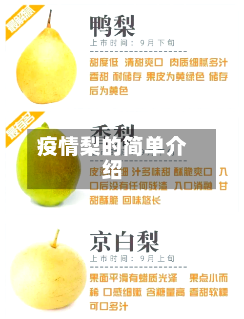 疫情梨的简单介绍-第3张图片