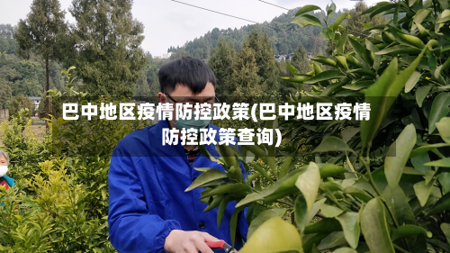 巴中地区疫情防控政策(巴中地区疫情防控政策查询)-第1张图片