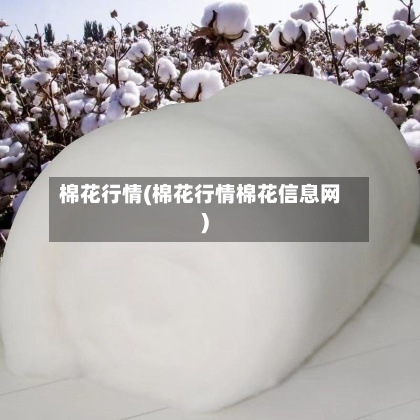 棉花行情(棉花行情棉花信息网)-第1张图片