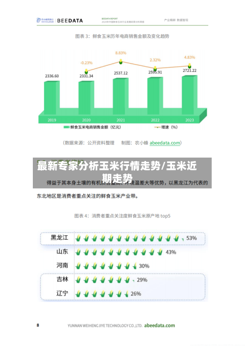 最新专家分析玉米行情走势/玉米近期走势-第1张图片