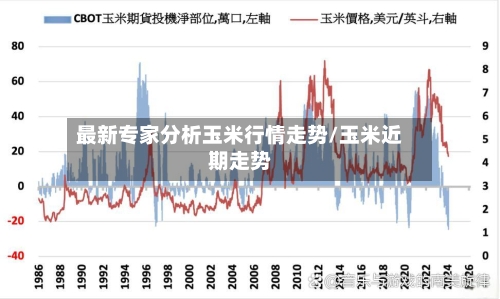 最新专家分析玉米行情走势/玉米近期走势-第3张图片