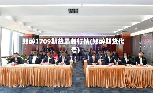 郑醇1709期货最新行情(郑醇期货代号)-第2张图片