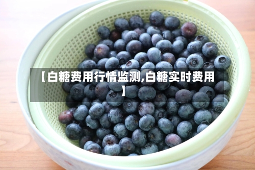 【白糖费用行情监测,白糖实时费用】-第1张图片