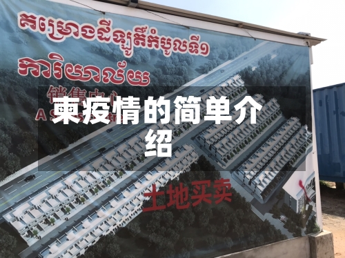 柬疫情的简单介绍