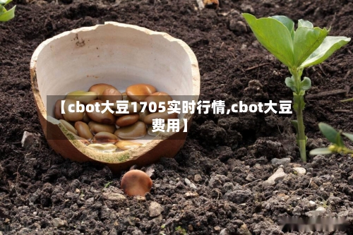 【cbot大豆1705实时行情,cbot大豆费用】-第1张图片