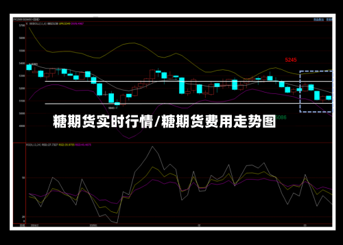 糖期货实时行情/糖期货费用走势图-第2张图片