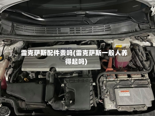 雷克萨斯配件贵吗(雷克萨斯一般人养得起吗)-第1张图片