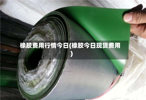 橡胶费用行情今日(橡胶今日现货费用)-第1张图片