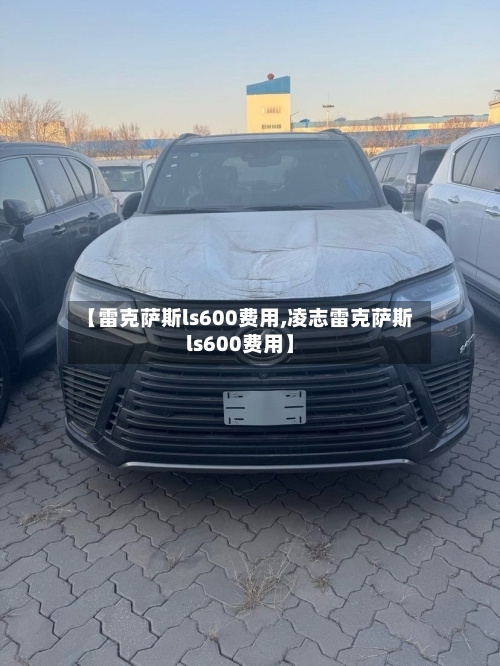 【雷克萨斯ls600费用,凌志雷克萨斯ls600费用】-第1张图片