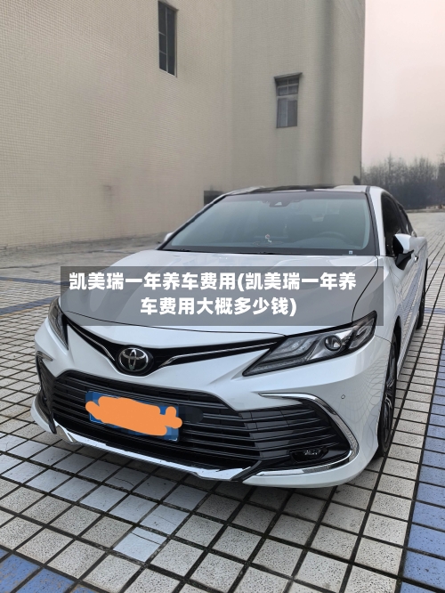 凯美瑞一年养车费用(凯美瑞一年养车费用大概多少钱)-第2张图片