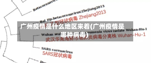 广州疫情是什么地区来着(广州疫情是哪种病毒)-第3张图片