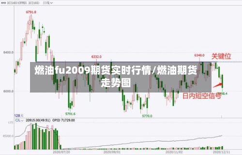 燃油fu2009期货实时行情/燃油期货走势图-第1张图片