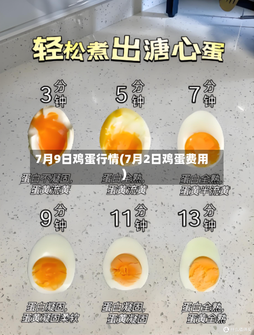 7月9日鸡蛋行情(7月2日鸡蛋费用)-第2张图片