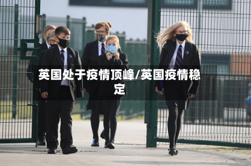 英国处于疫情顶峰/英国疫情稳定-第1张图片