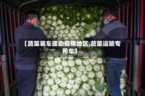 【蔬菜装车援助疫情地区,蔬菜运输专用车】-第2张图片