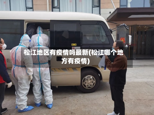 松江地区有疫情吗最新(松江哪个地方有疫情)-第3张图片