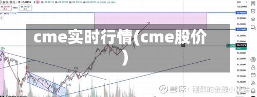 cme实时行情(cme股价)-第3张图片