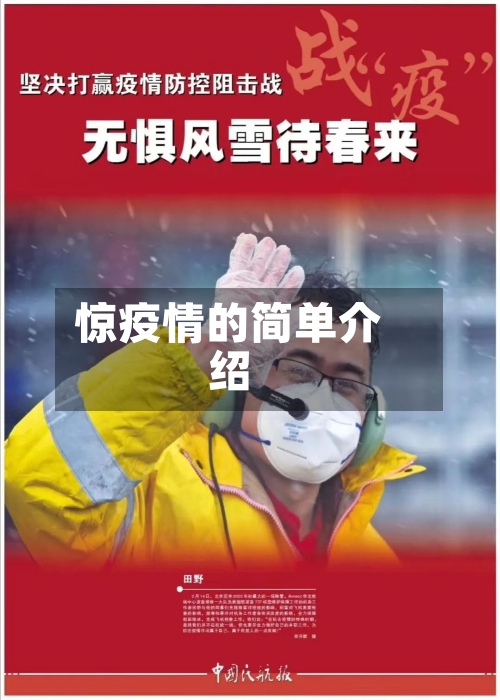 惊疫情的简单介绍-第2张图片